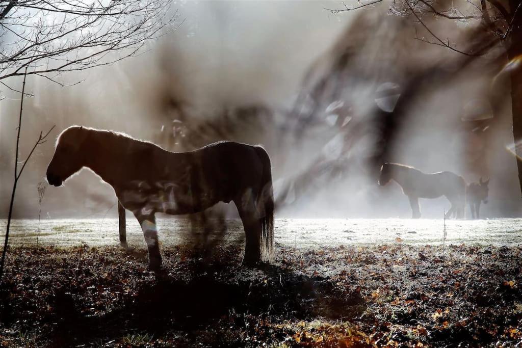 Relax With Art And Nature Mellionnec Bagian luar foto